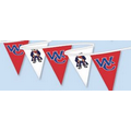 30' Printed Poly Pennant String- 3 Color